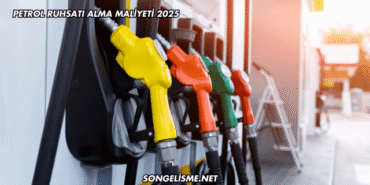 Petrol Ruhsatı Alma Maliyeti 2025