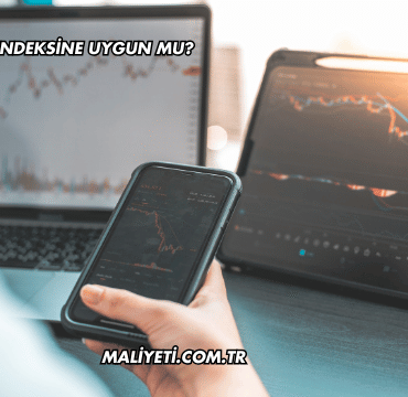 SDTTR Katılım Endeksine Uygun mu?