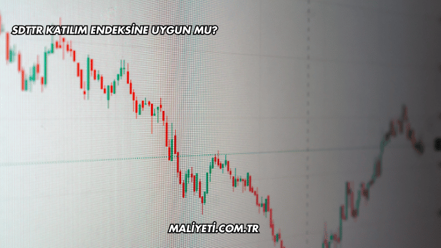 SDTTR Katılım Endeksine Uygun mu?