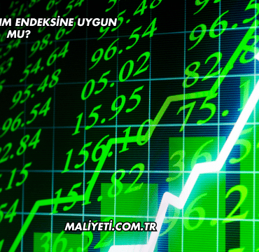 SKYMAD Katılım Endeksine Uygun mu?