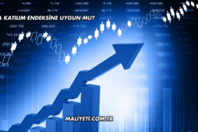 Sasa Katılım Endeksine Uygun mu?
