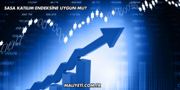 Sasa Katılım Endeksine Uygun mu?