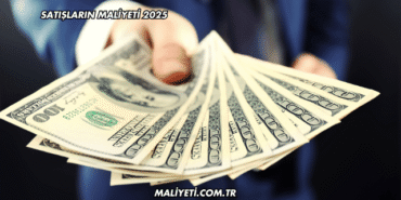 Satışların Maliyeti 2025