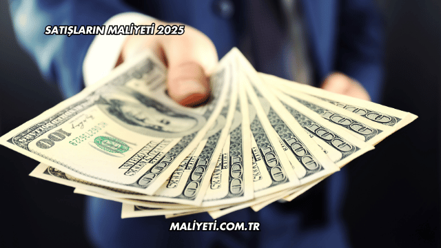 Satışların Maliyeti 2025