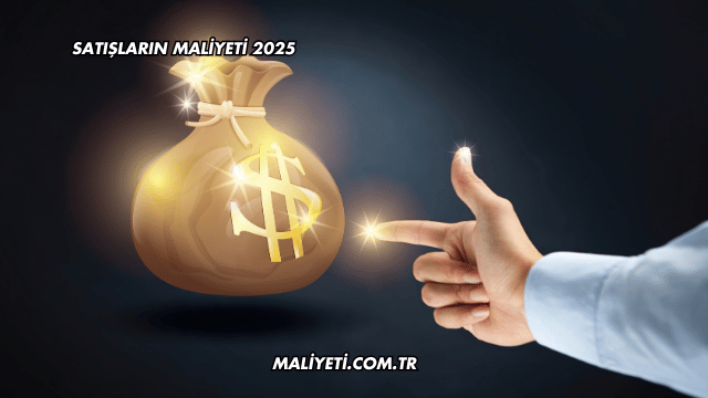 Satışların Maliyeti 2025
