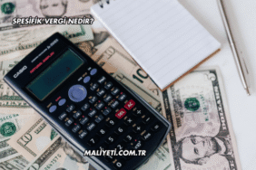 Spesifik Vergi Nedir?