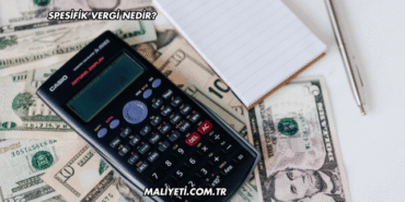 Spesifik Vergi Nedir?