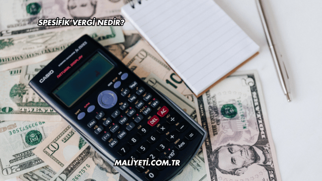 Spesifik Vergi Nedir?