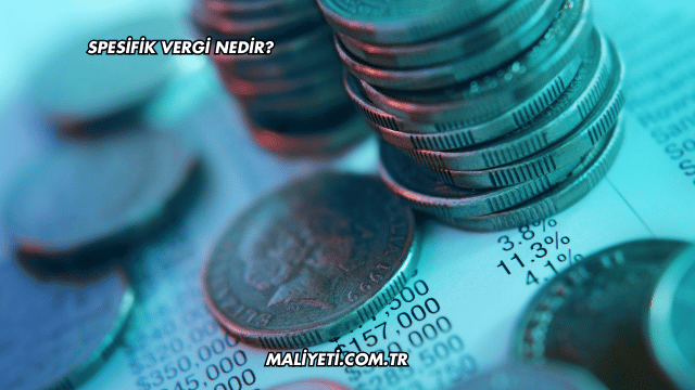 Spesifik Vergi Nedir?