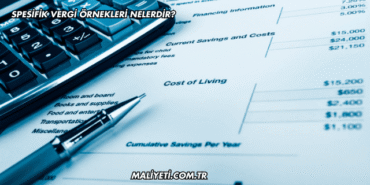 Spesifik Vergi Örnekleri Nelerdir?