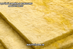 Taşyünü Fabrikası Kurulumu Maliyeti 2025