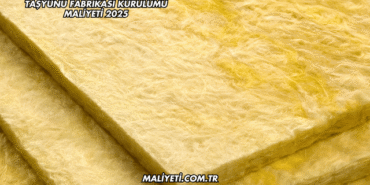 Taşyünü Fabrikası Kurulumu Maliyeti 2025