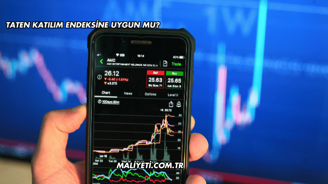 Taten Katılım Endeksine Uygun mu?