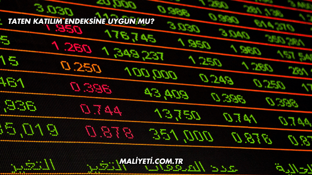 Taten Katılım Endeksine Uygun mu?