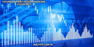 Tatlıpınar Enerji Katılım Endeksine Uygun mu?