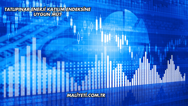 Tatlıpınar Enerji Katılım Endeksine Uygun mu?