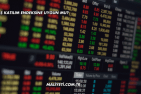 Tukaş Katılım Endeksine Uygun mu?