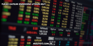 Tukaş Katılım Endeksine Uygun mu?