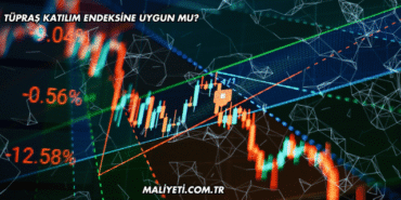 Tüpraş Katılım Endeksine Uygun mu?