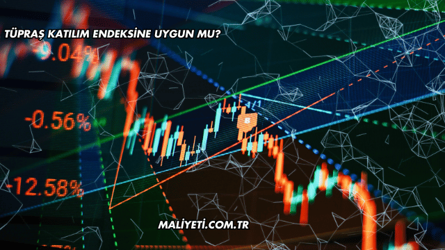 Tüpraş Katılım Endeksine Uygun mu?