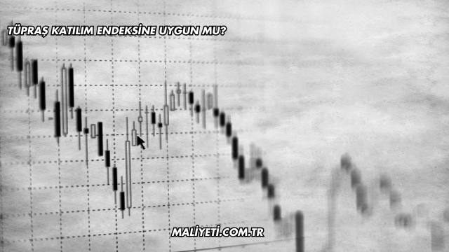 Tüpraş Katılım Endeksine Uygun mu?