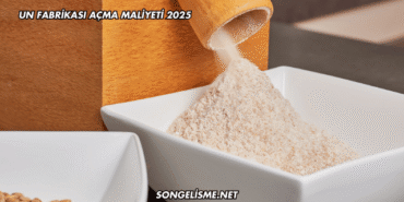 Un Fabrikası Açma Maliyeti 2025