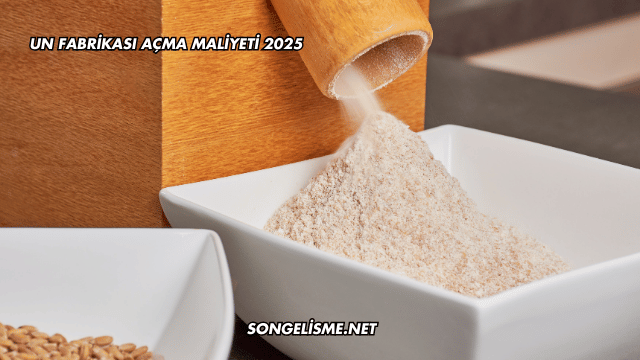 Un Fabrikası Açma Maliyeti 2025