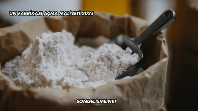 Un Fabrikası Açma Maliyeti 2025