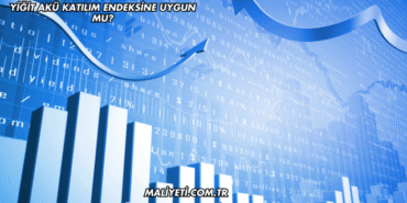 Yiğit Akü Katılım Endeksine Uygun mu?