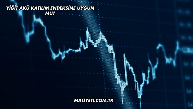 Yiğit Akü Katılım Endeksine Uygun mu?