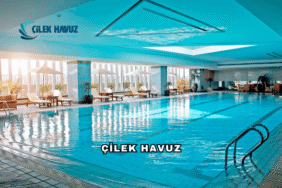 Çilek Havuz Hakkında