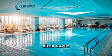 Çilek Havuz Hakkında
