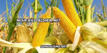 Mısır Kilo Aldırır mı?