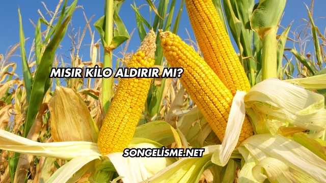 Mısır Kilo Aldırır mı?