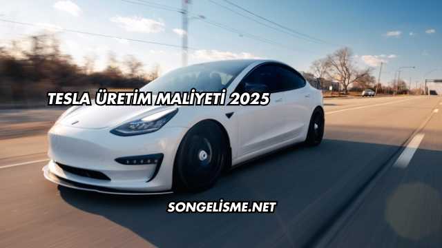 Tesla Üretim Maliyeti 2025
